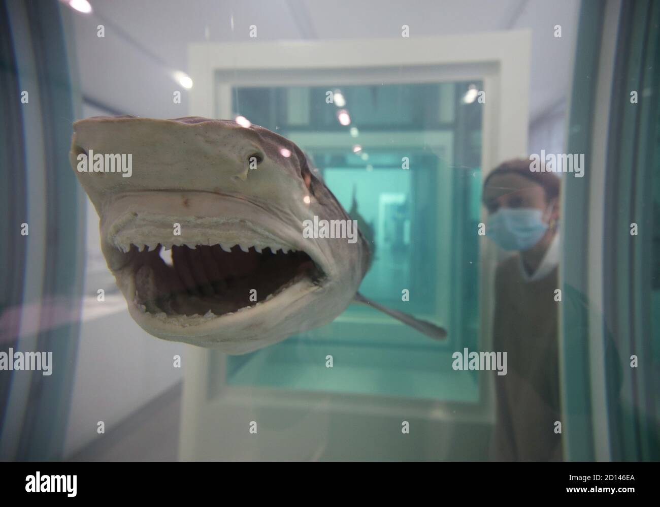 Un membro dello staff della galleria si pone accanto a 'Myth Explosed, Exploded', 1993, durante un'anteprima della mostra personale di Damien Hirst intitolata 'End of a Century' alla Newport Street Gallery di Londra, Che sarà caratterizzato da oltre cinquanta opere d'arte che dureranno gli anni formativi di Hirst come studente negli anni '80 fino a diventare uno dei principali artisti contemporanei britannici durante gli anni '90. Foto Stock