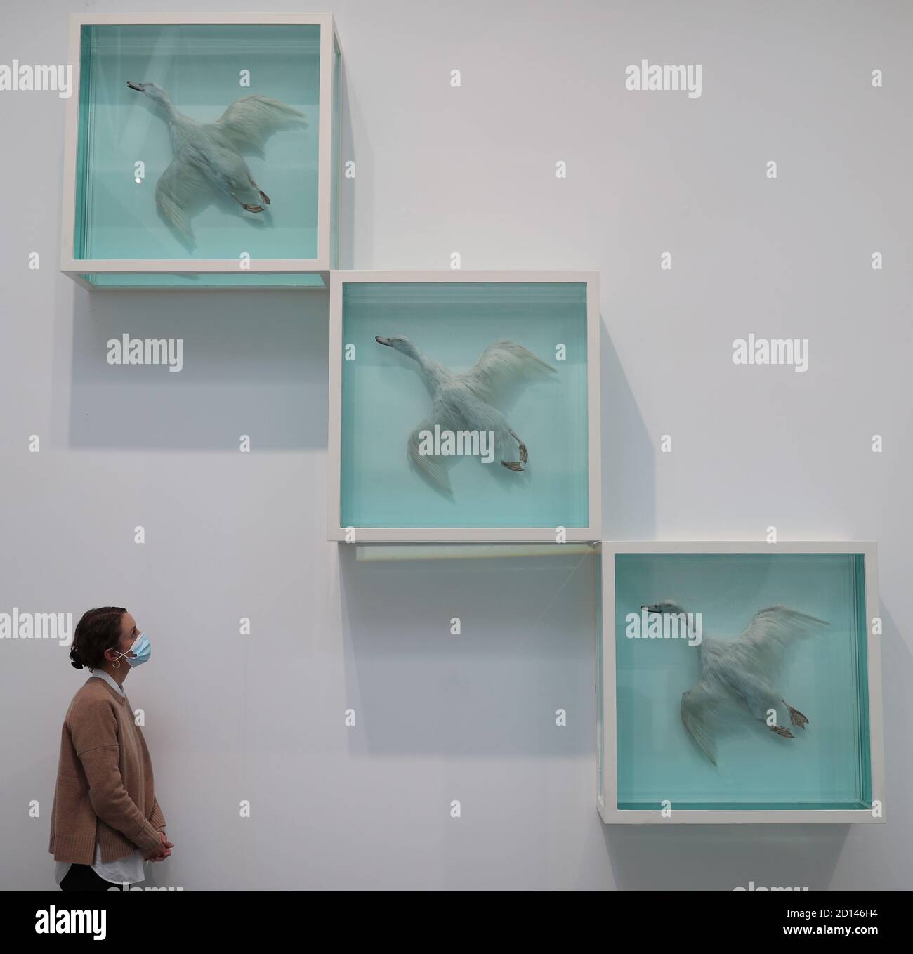 Un membro del personale della galleria si pone accanto a 'Up, Up and Away', 1997, durante un'anteprima della mostra personale di Damien Hirst intitolata 'End of a Century' alla Newport Street Gallery di Londra, Che sarà caratterizzato da oltre cinquanta opere d'arte che dureranno gli anni formativi di Hirst come studente negli anni '80 fino a diventare uno dei principali artisti contemporanei britannici durante gli anni '90. Foto Stock