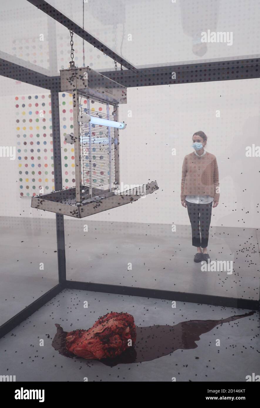 Un membro del personale della galleria si pone accanto a 'CENTO anni', 1990, durante un'anteprima della mostra personale di Damien Hirst intitolata 'fine di un secolo' alla Newport Street Gallery di Londra, Che sarà caratterizzato da oltre cinquanta opere d'arte che dureranno gli anni formativi di Hirst come studente negli anni '80 fino a diventare uno dei principali artisti contemporanei britannici durante gli anni '90. Foto Stock