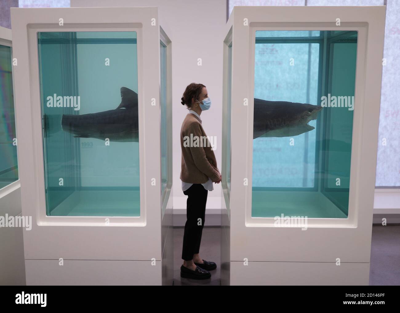 Un membro dello staff della galleria si pone accanto a 'Myth Explosed, Exploded', 1993, durante un'anteprima della mostra personale di Damien Hirst intitolata 'End of a Century' alla Newport Street Gallery di Londra, Che sarà caratterizzato da oltre cinquanta opere d'arte che dureranno gli anni formativi di Hirst come studente negli anni '80 fino a diventare uno dei principali artisti contemporanei britannici durante gli anni '90. Foto Stock