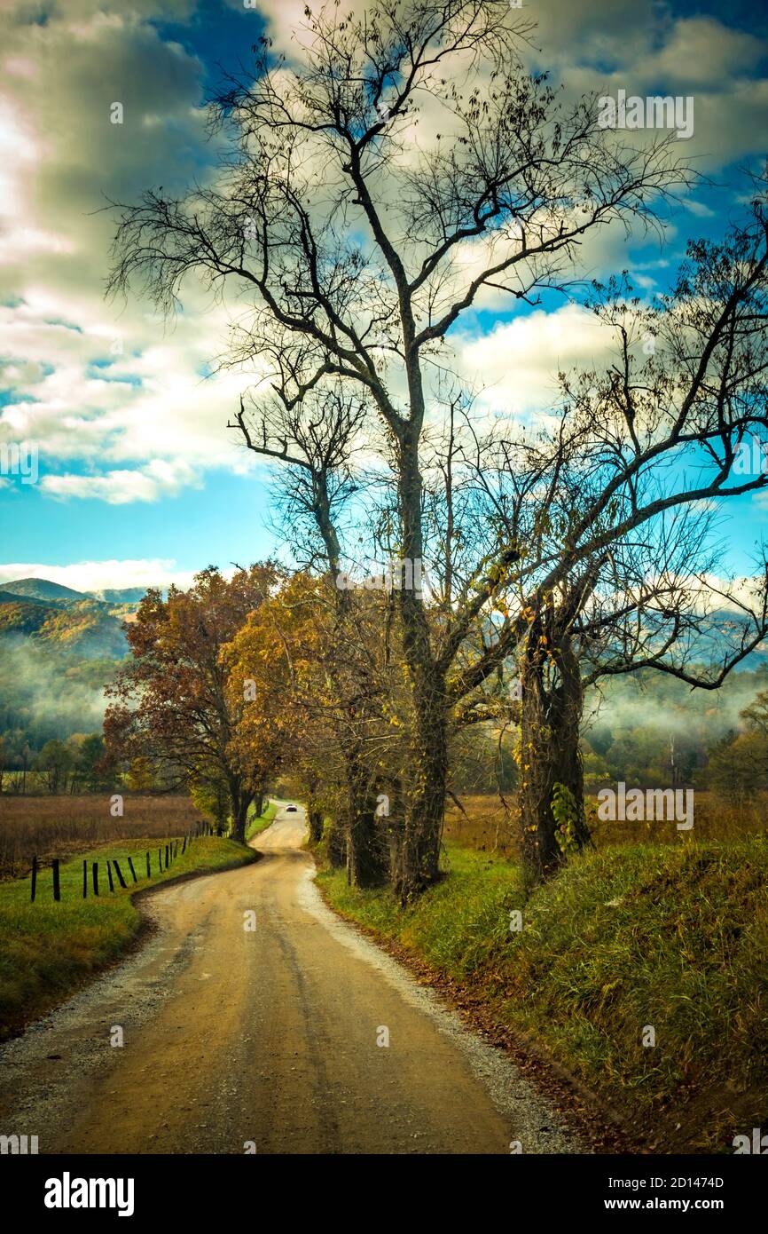 Paesaggi colorati e immagini di viaggio scattate a Great Smoky Mountain nel North Carolina/Tennessee, USA Foto Stock