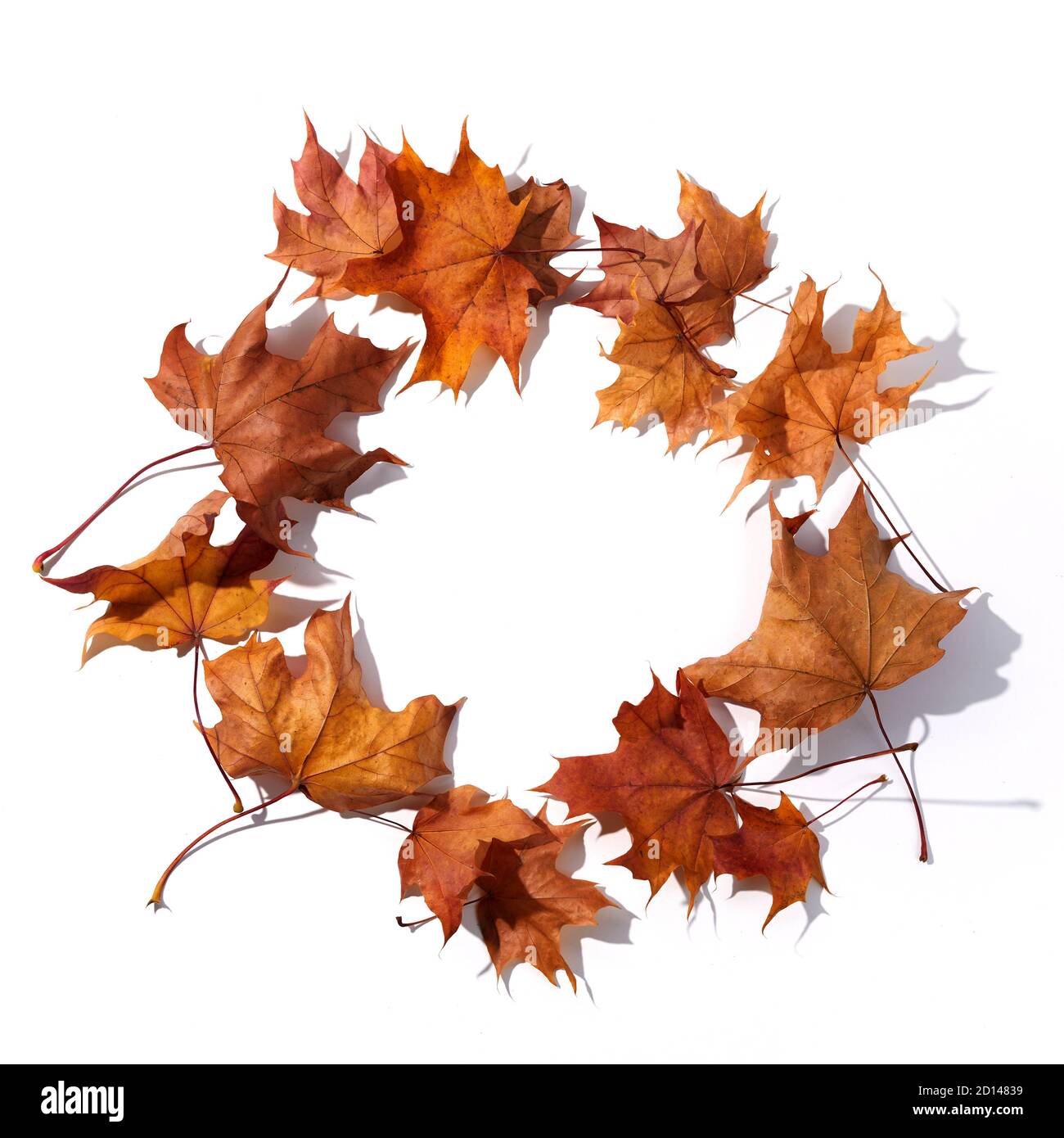 Composizione autunnale. Cornice rotonda da foglie essiccate su sfondo bianco. Vista dall'alto. Disposizione piatta. Foto Stock