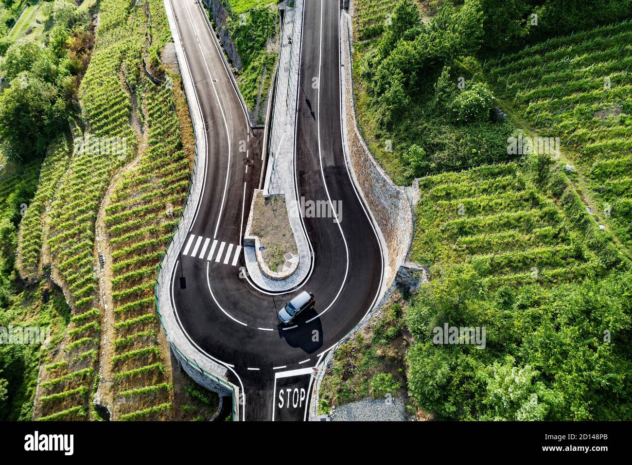 strada con tornante in campagna con vigneti Foto Stock