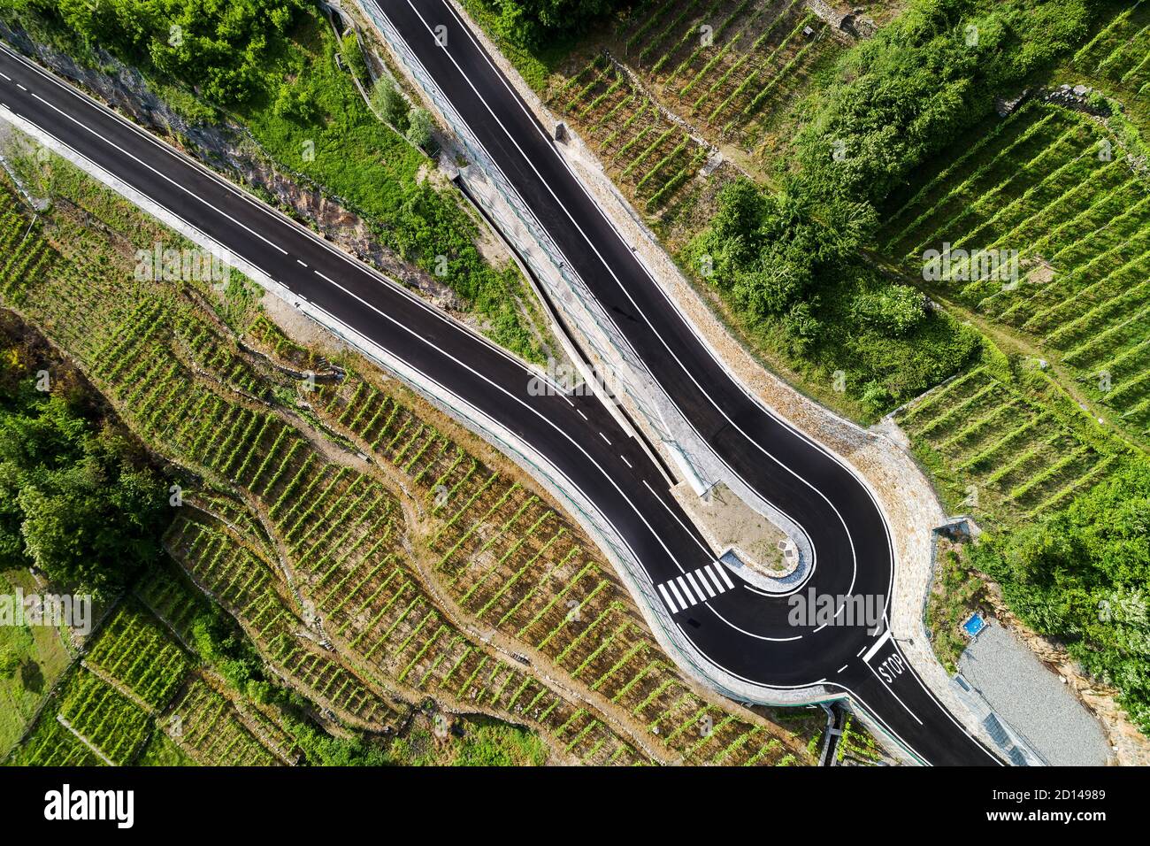 strada con tornante in campagna con vigneti Foto Stock