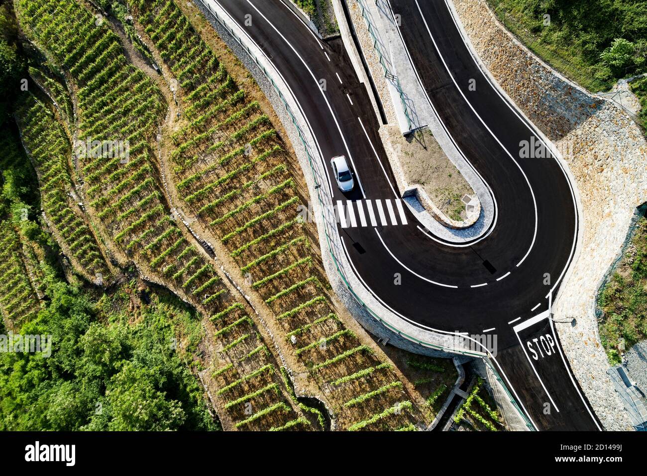 strada con tornante in campagna con vigneti Foto Stock