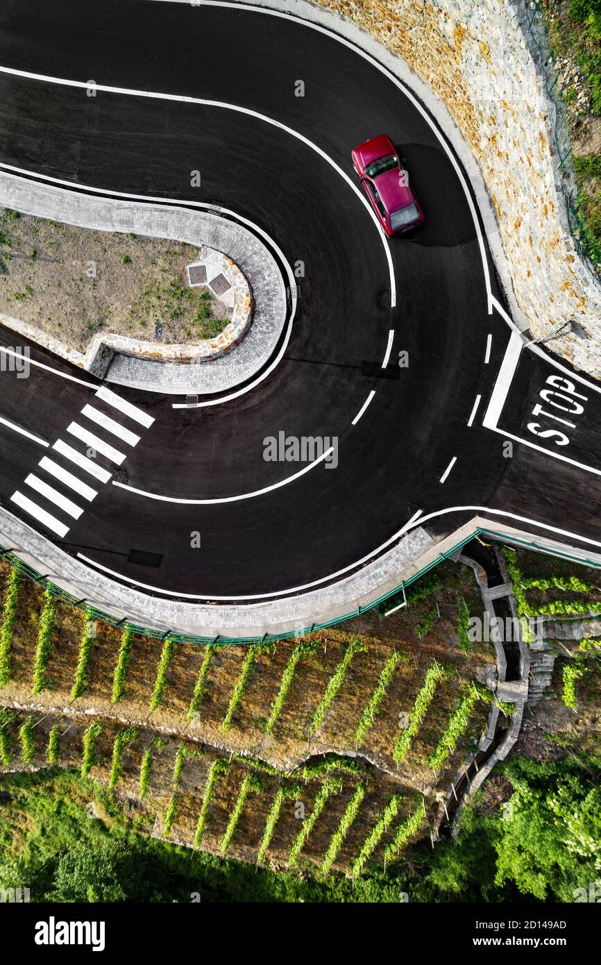 strada con tornante in campagna con vigneti Foto Stock