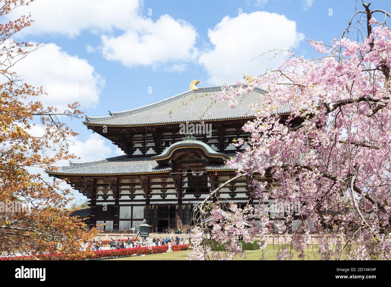 Tōdai-ji, tempio buddista, Nara, Giappone Foto Stock