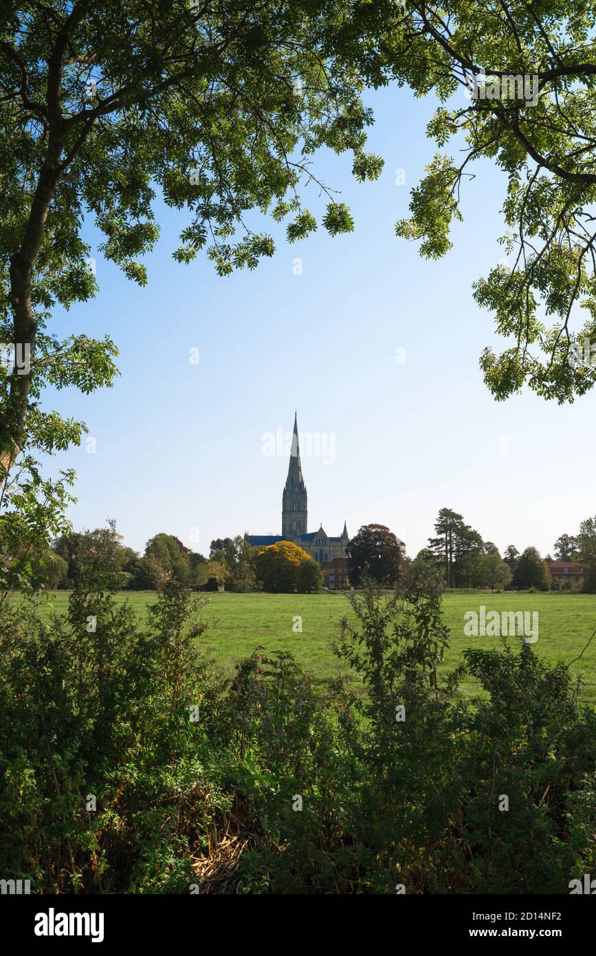 Inghilterra paesaggio tradizionale, vista in estate attraverso boschi verso la Cattedrale di Salisbury nel Wiltshire, Inghilterra, Regno Unito Foto Stock