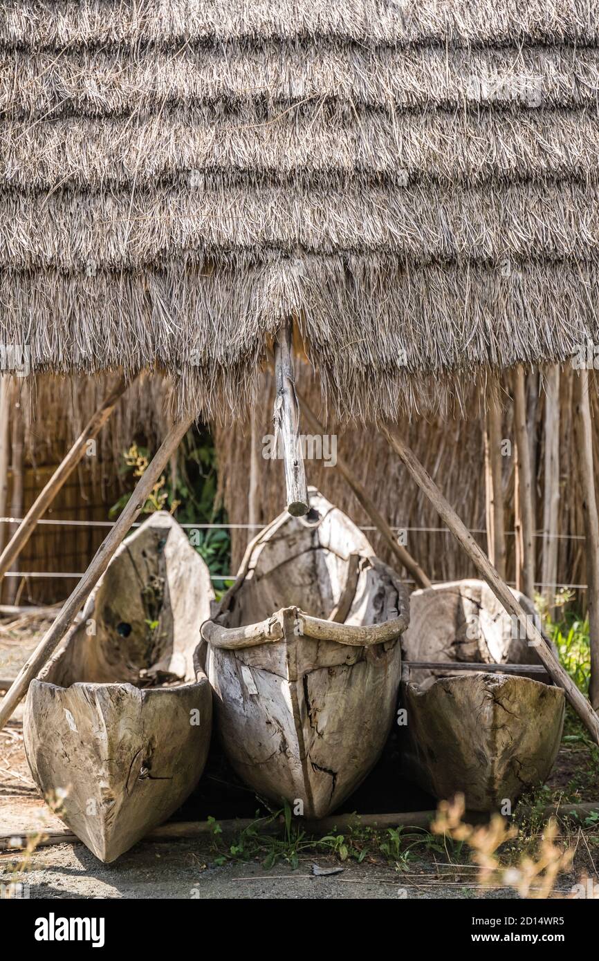 Piroghe tradizionali di pesca in legno immagazzinate sulla terra sotto il villaggio capanna con tetto di paglia Foto Stock