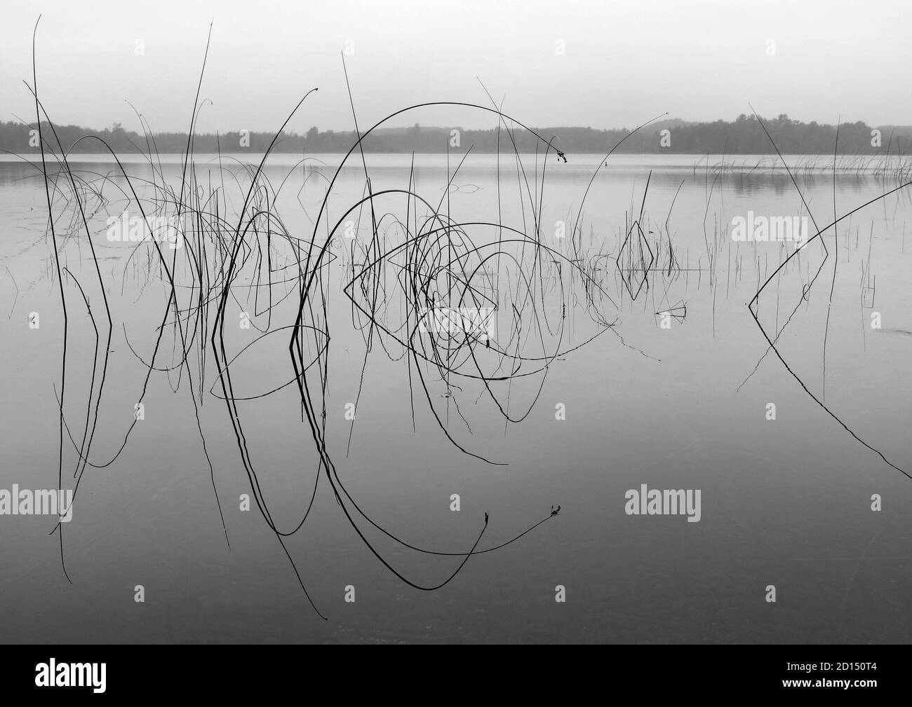 Aggraziate forme di balli su un lago del Minnesota settentrionale al crepuscolo. Foto Stock