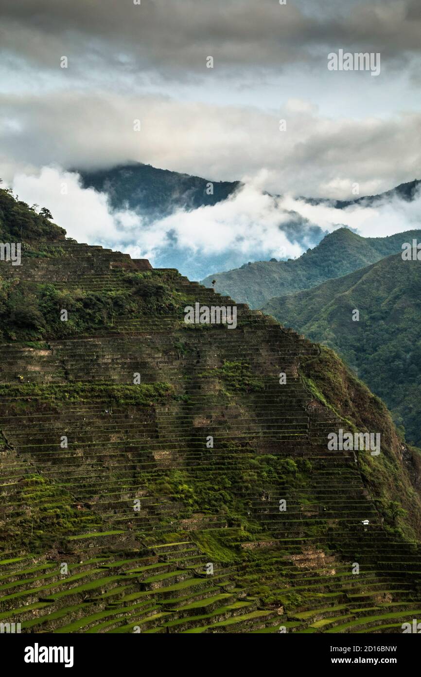 Immagini di terrazze di riso Batad e Banaue nelle Filippine Foto Stock