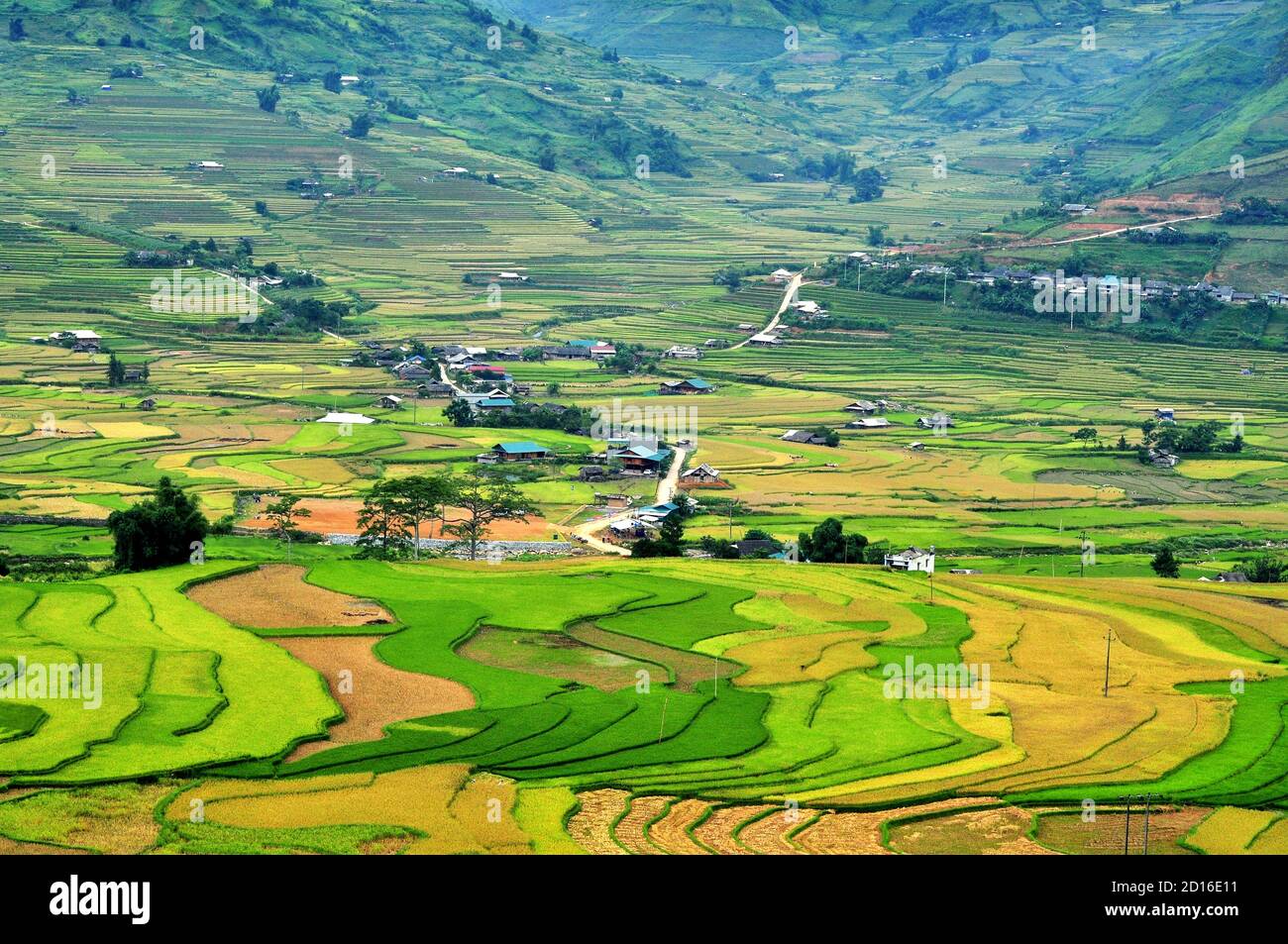Risaie terrazze MuCangChai, Yen Bai, Vietnam - la stagione del riso maturo - le meraviglie dei contadini Foto Stock