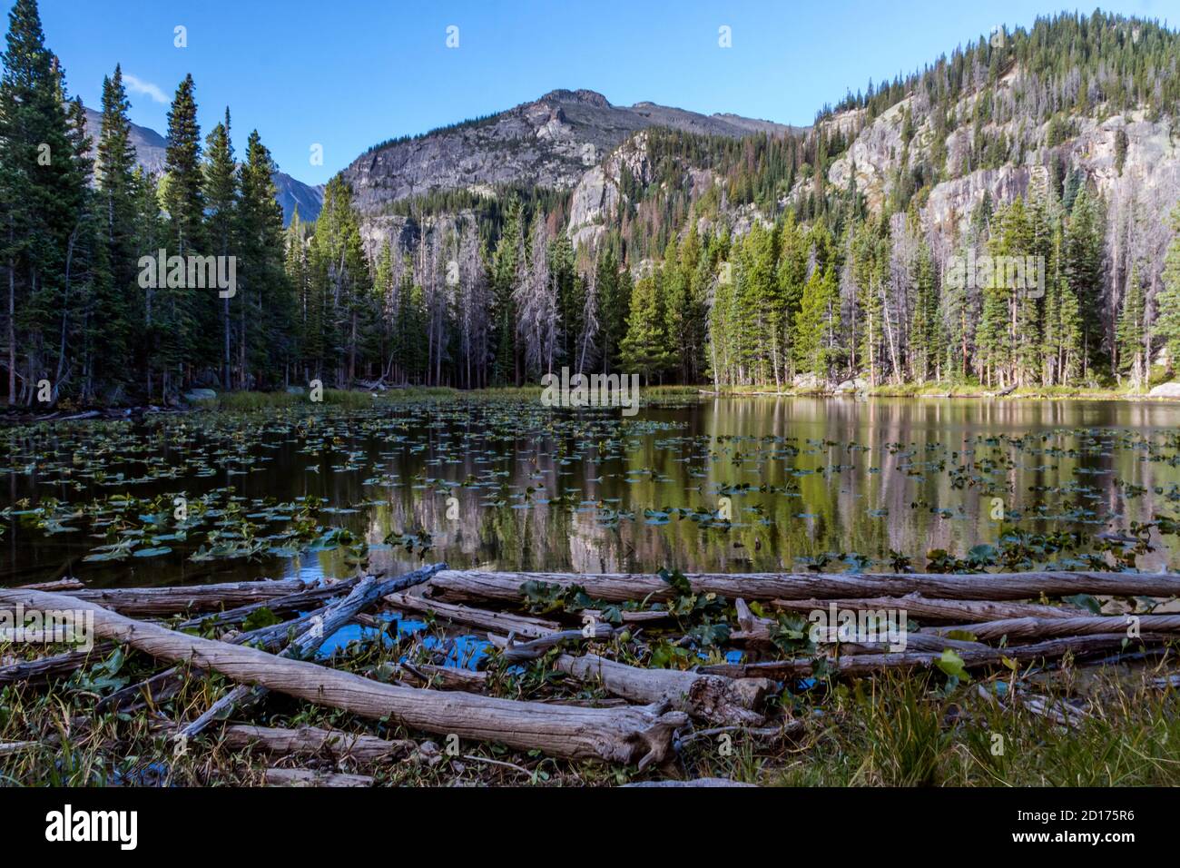 Paesaggio, immagini di viaggio scattate nel parco nazionale di Rocky Mt. In Colorado, USA. Foto Stock