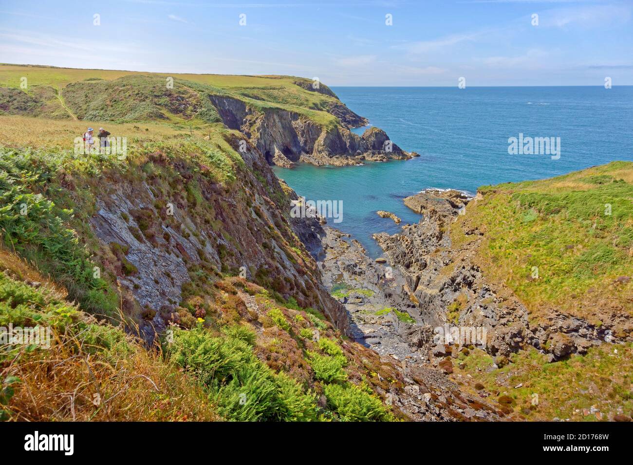 La costa di Pembrokeshire e il percorso costiero vicino alla città di St. David's North Pembrokeshire, Galles. Foto Stock