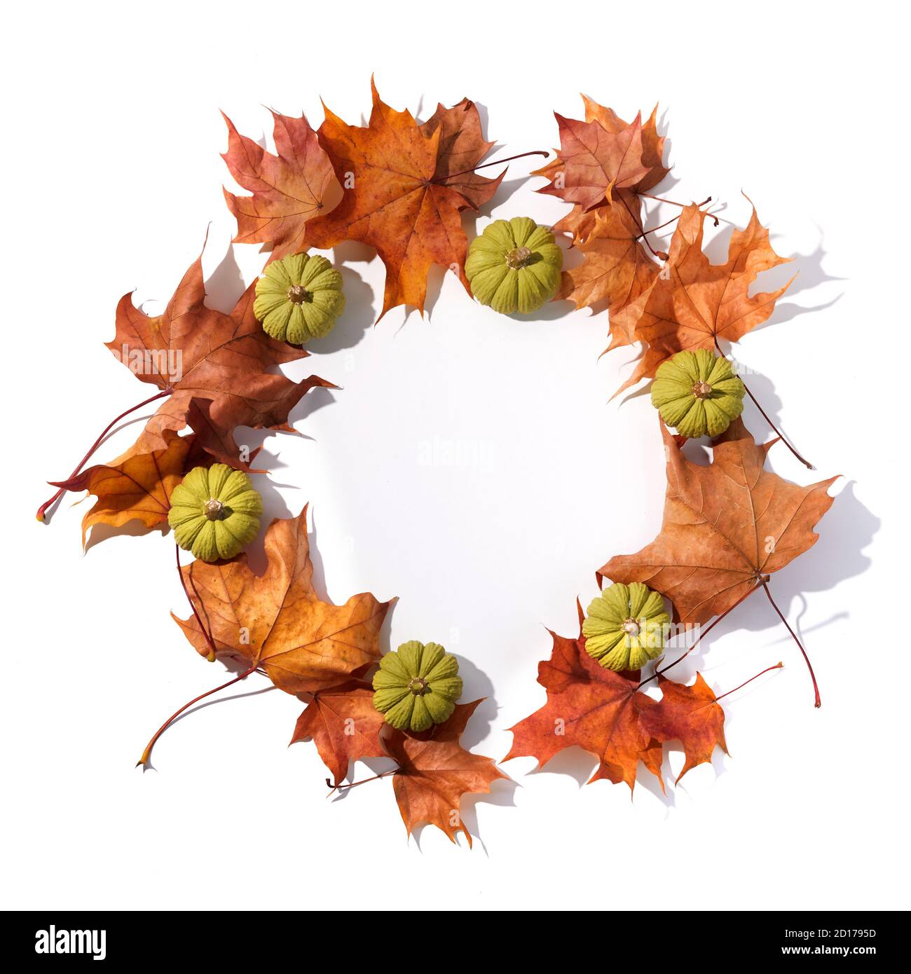 Composizione autunnale. Cornice rotonda da foglie secche e zucche su sfondo bianco. Vista dall'alto. Disposizione piatta. Foto Stock