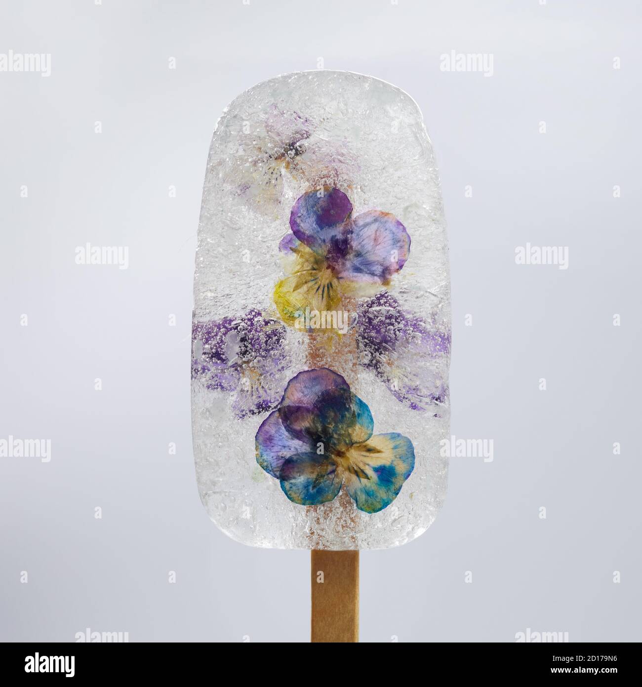 Gelato con falciatrici secche. Pop-sicle trasparente, ghiaccio congelato. Foto Stock
