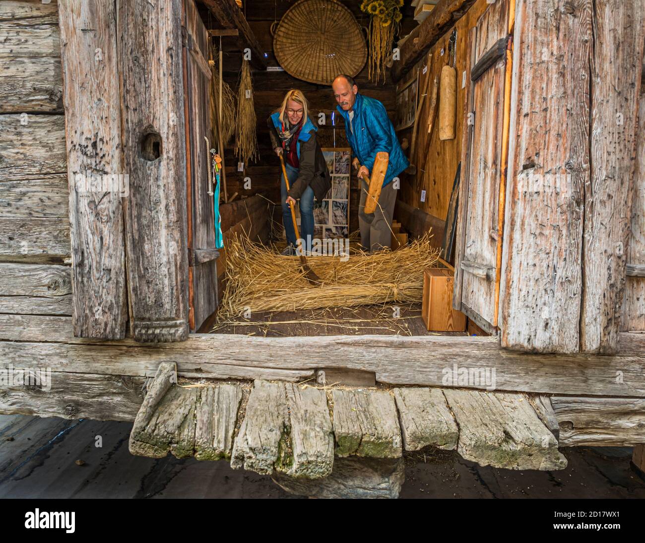 Trebbiatura della segale comune a Goppenstein-Erschmatt, Svizzera. Il laboratorio di cottura del pane comprende anche una visita a Erschmatt. Nel vecchio fienile è ancora possibile trebbiare la segale oggi Foto Stock