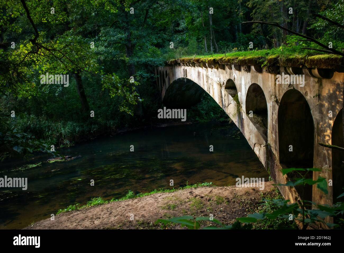 Vecchio ponte ad arco abbandonato su un fiume forestale. Ex ponte nuovo tedesco (Neue Brucke) nella regione di Kaliningrad, Rominta/Redwood Foto Stock