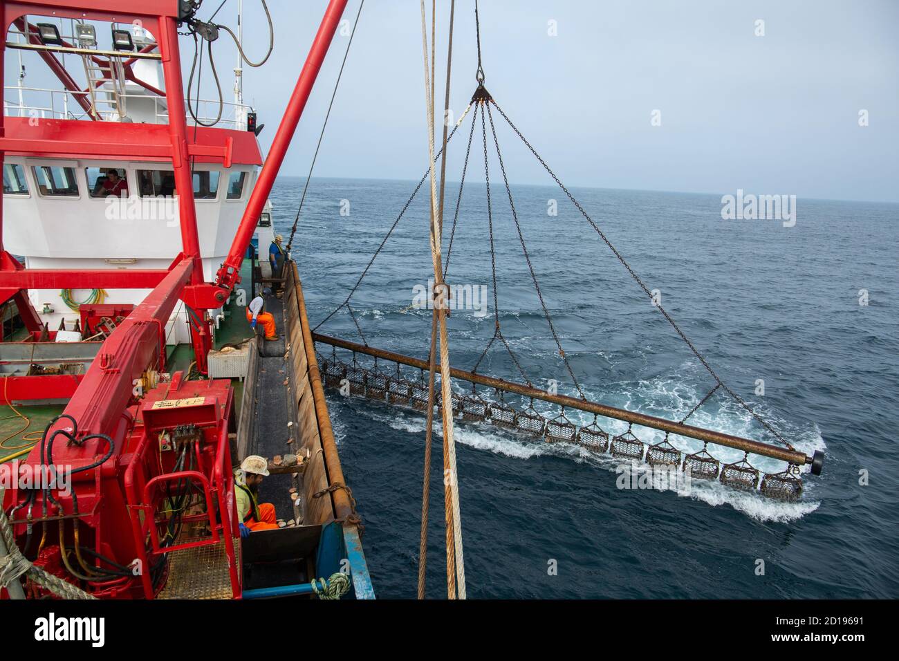 Operazioni di pesca su una nave da pesca king capellop Foto Stock