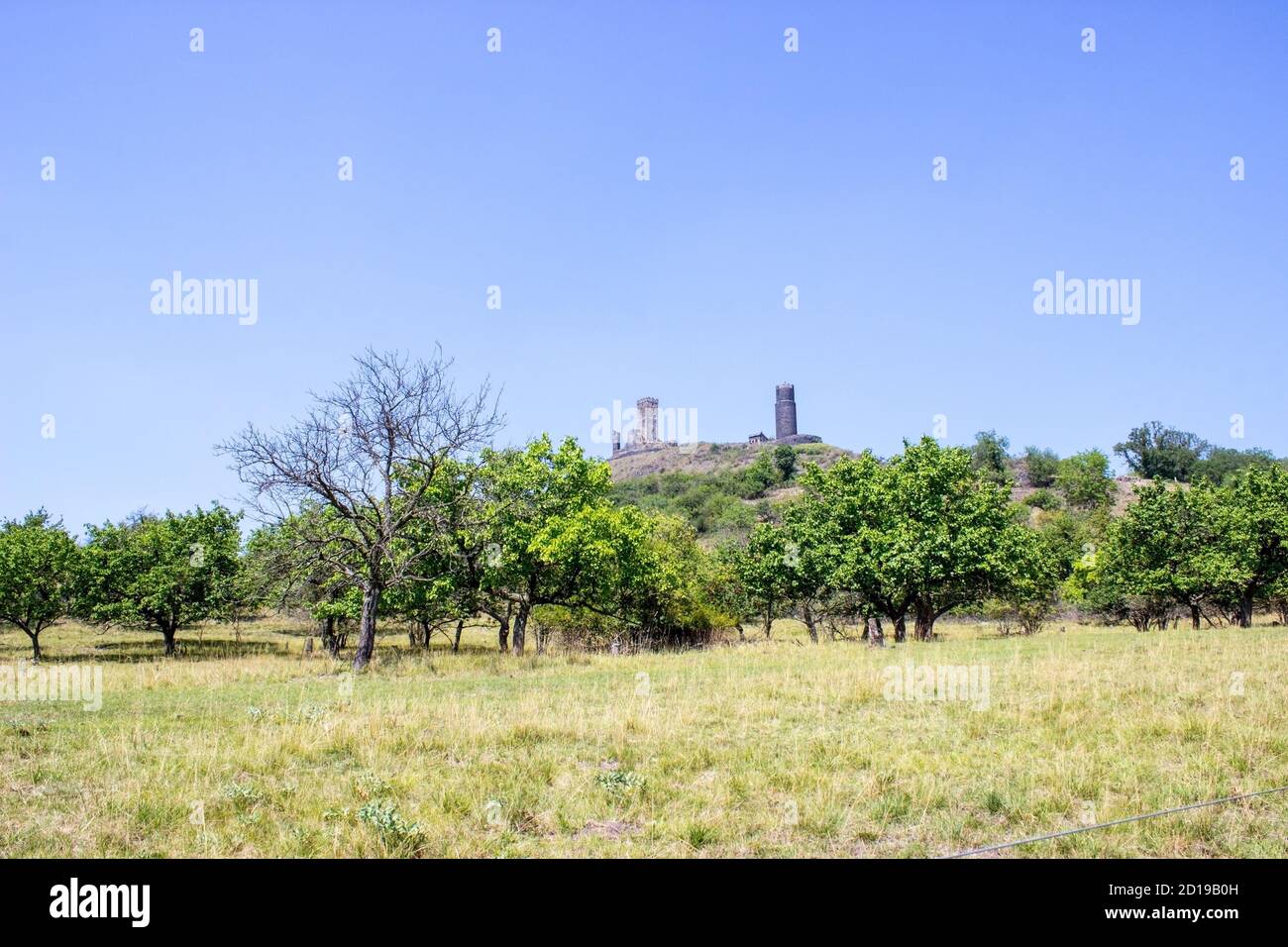 Ruines del castello di Hazmburk in cima alla cima della catena montuosa di ceske stredohori. Alberi da frutta e cielo blu. Foto Stock