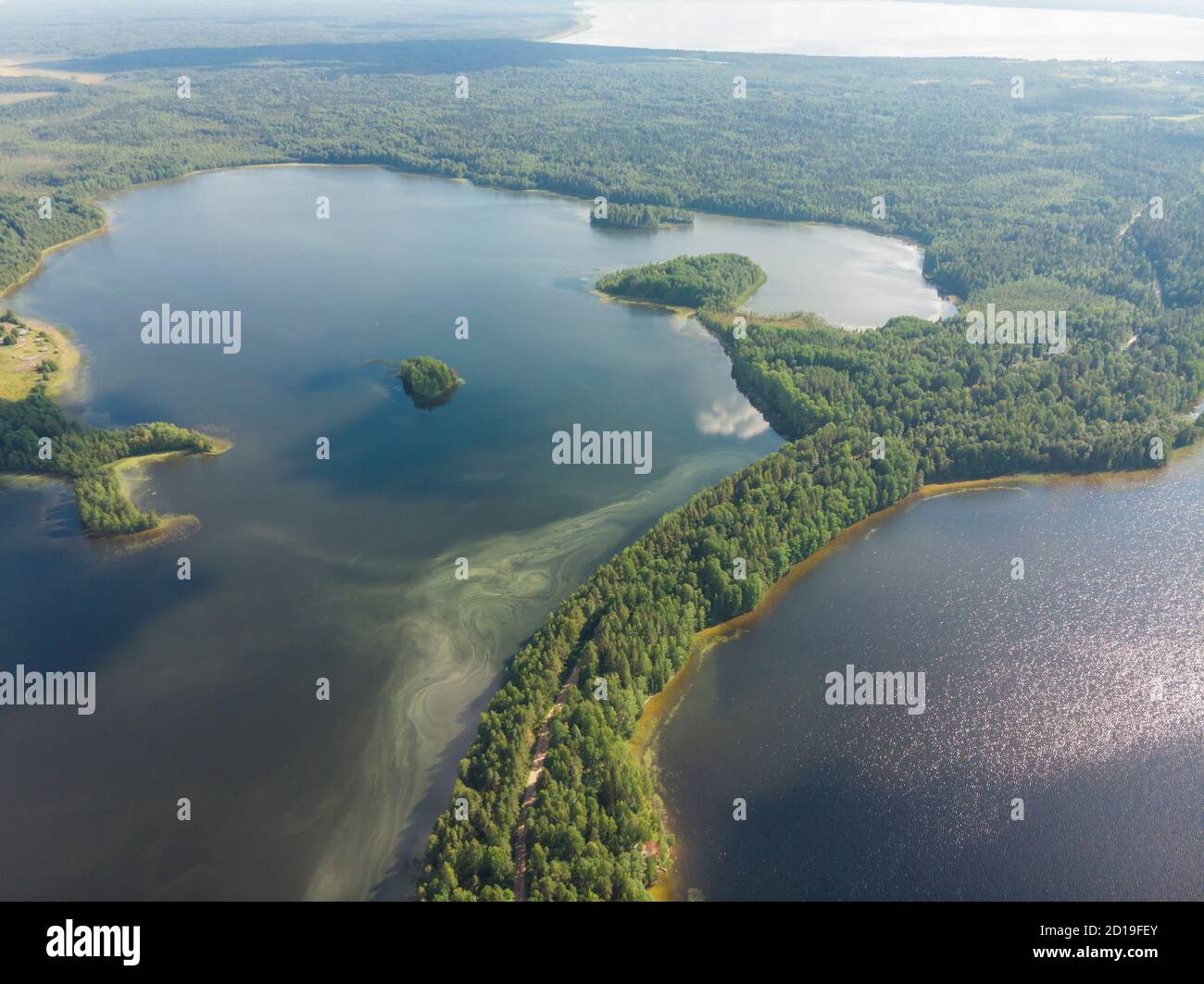 Lo spartiacque degli oceani Atlantico e Artico. Cresta morena Maselga. Russia, regione di Arkhangelsk Foto Stock