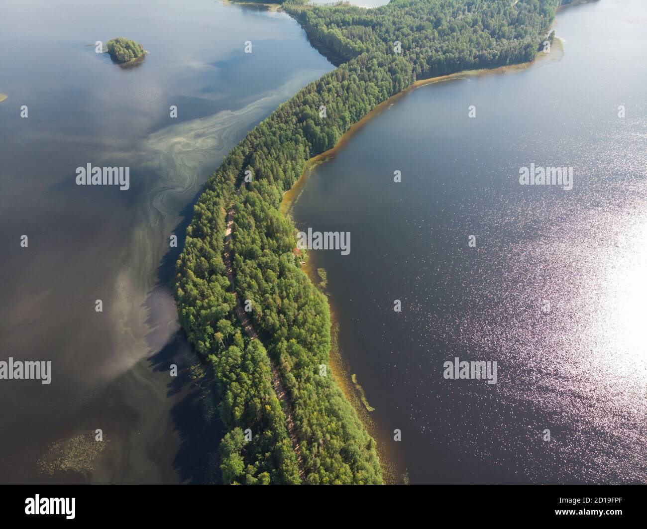 Lo spartiacque degli oceani Atlantico e Artico. Cresta morena Maselga. Russia, regione di Arkhangelsk Foto Stock