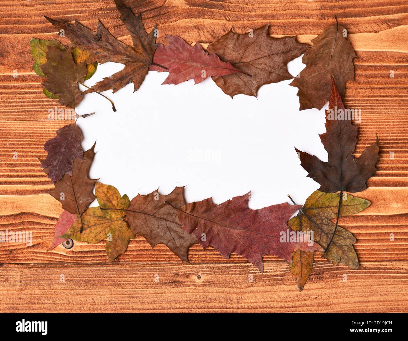 Composizione delle foglie autunnali con cornice. Studio girato su sfondo di  legno. Concetto d'arte autunnale Foto stock - Alamy