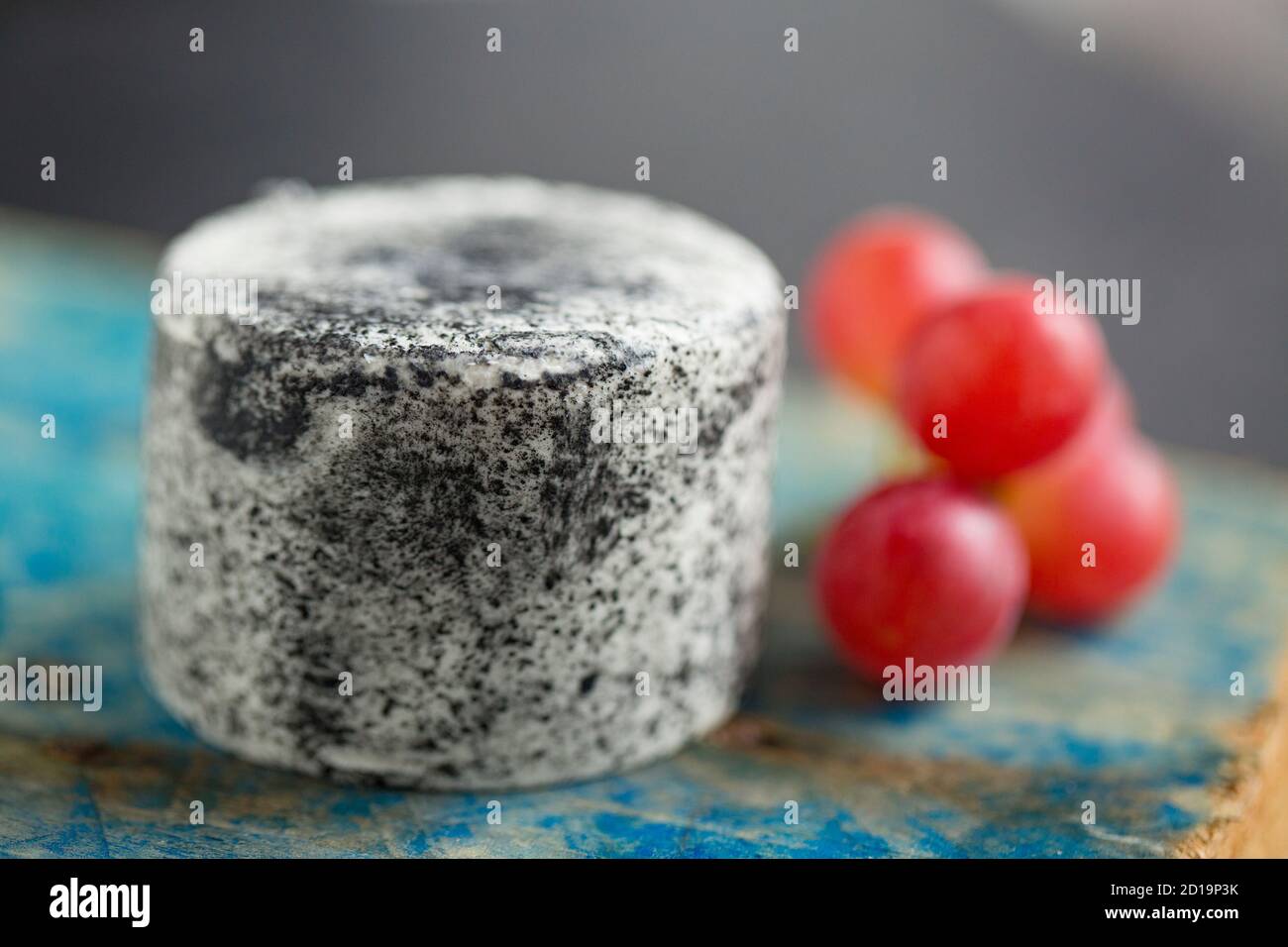 Un esempio del formaggio a base di latte di capra pastorizzato fatto a mano Frassino rosario di Moody prodotto nella New Forest. Il formaggio presenta un rivestimento naturale di cenere. Englan Foto Stock