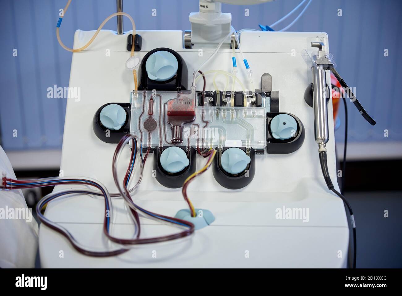 Centro donatore di sangue NHS plasma Donation, plasma il più grande singolo componente di sangue un liquido trasparente, di colore paglierino, trasporta piastrine, rosso e bianco Foto Stock