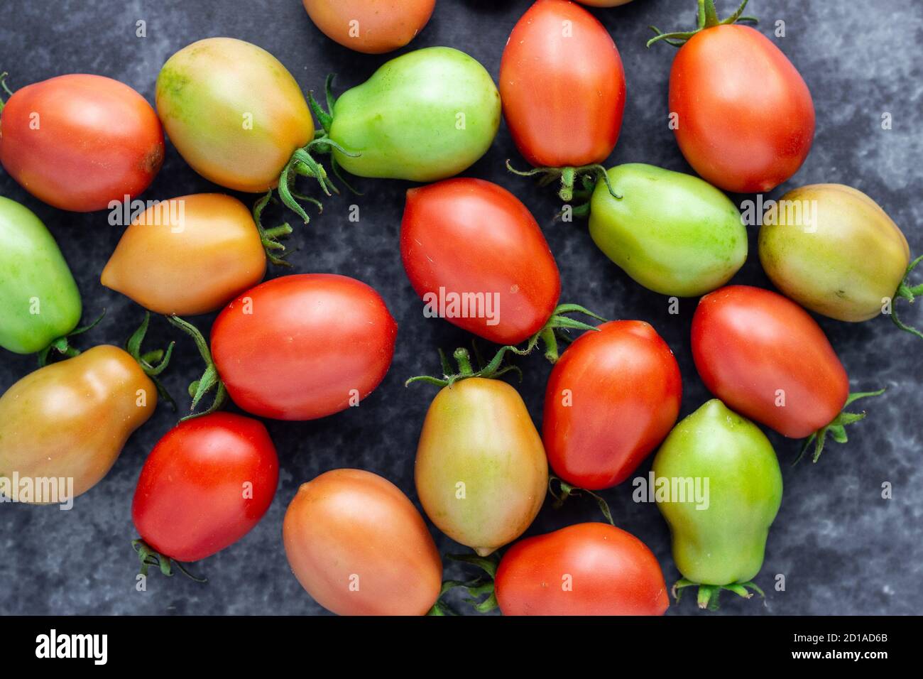 Pomodori maturi, semimmaturi e verdi Foto Stock
