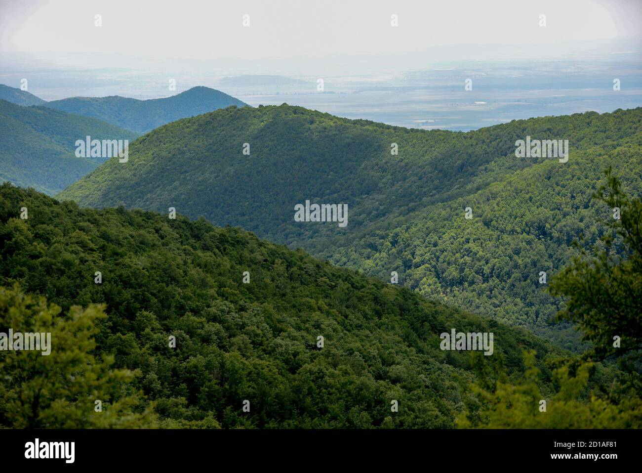 Colline di montagna a strati di verde lussureggiante vegetazione Foto Stock