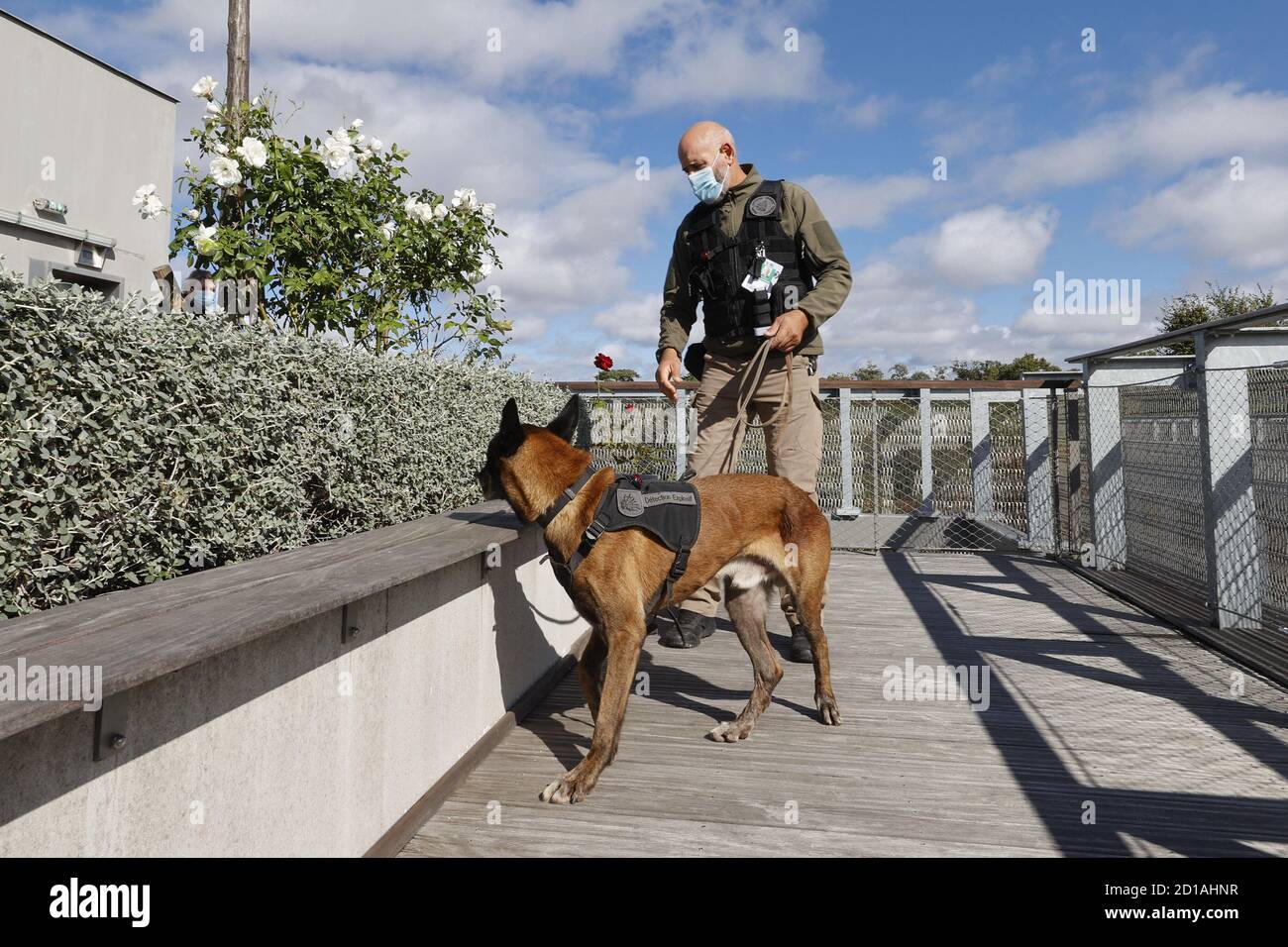 Parigi, Francia. 5 ottobre 2020. Sicurezza della squadra di cani in azione in ogni luogo durante il Roland Garros 2020, torneo di tennis Grand Slam, il 5 ottobre 2020 allo stadio Roland Garros di Parigi, Francia - Foto Stephane Allaman / DPPI Credit: LM/DPPI/Stephane Allaman/Alamy Live News Foto Stock