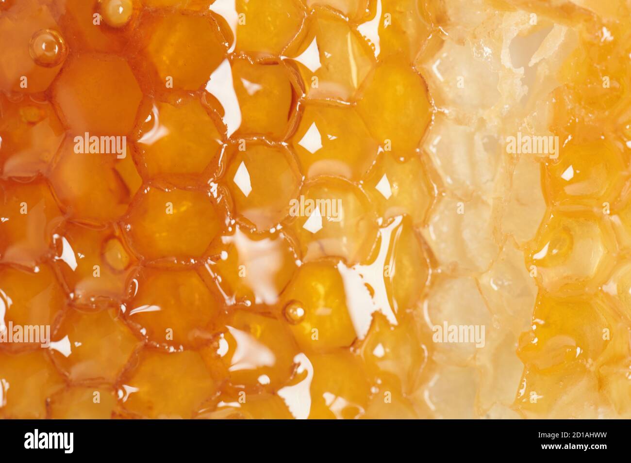 Texture di miele giallo in vista ravvicinata di macro pettine Foto Stock