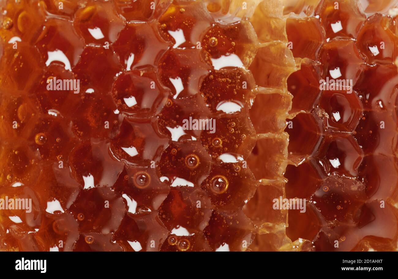 Texture di oro miele pettine macro vista ravvicinata Foto Stock