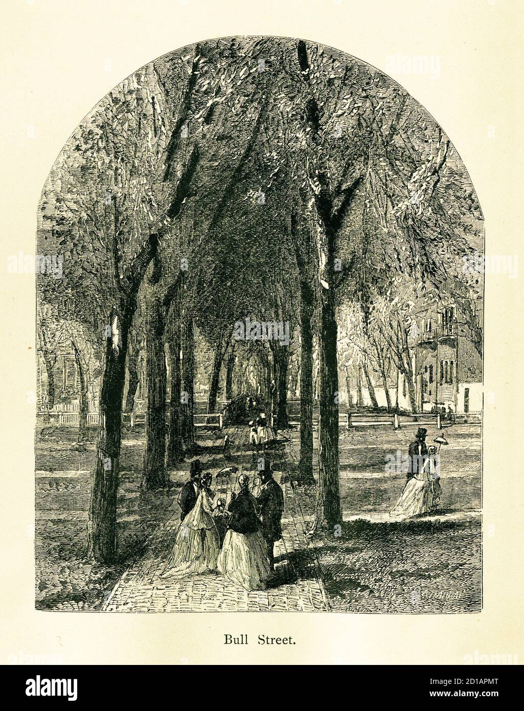 Incisione del XIX secolo di Bull Street a Savannah, Georgia, USA. Illustrazione pubblicata in America pittoresca o la terra in cui viviamo (D. Appleton e C. Foto Stock