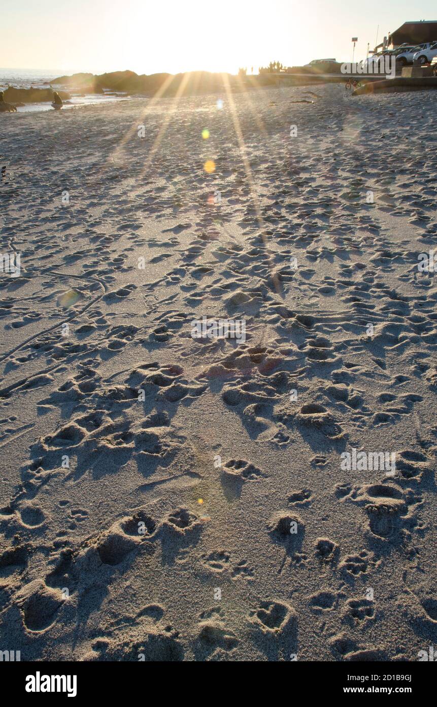 Passaggio attraverso la sabbia al tramonto Foto Stock
