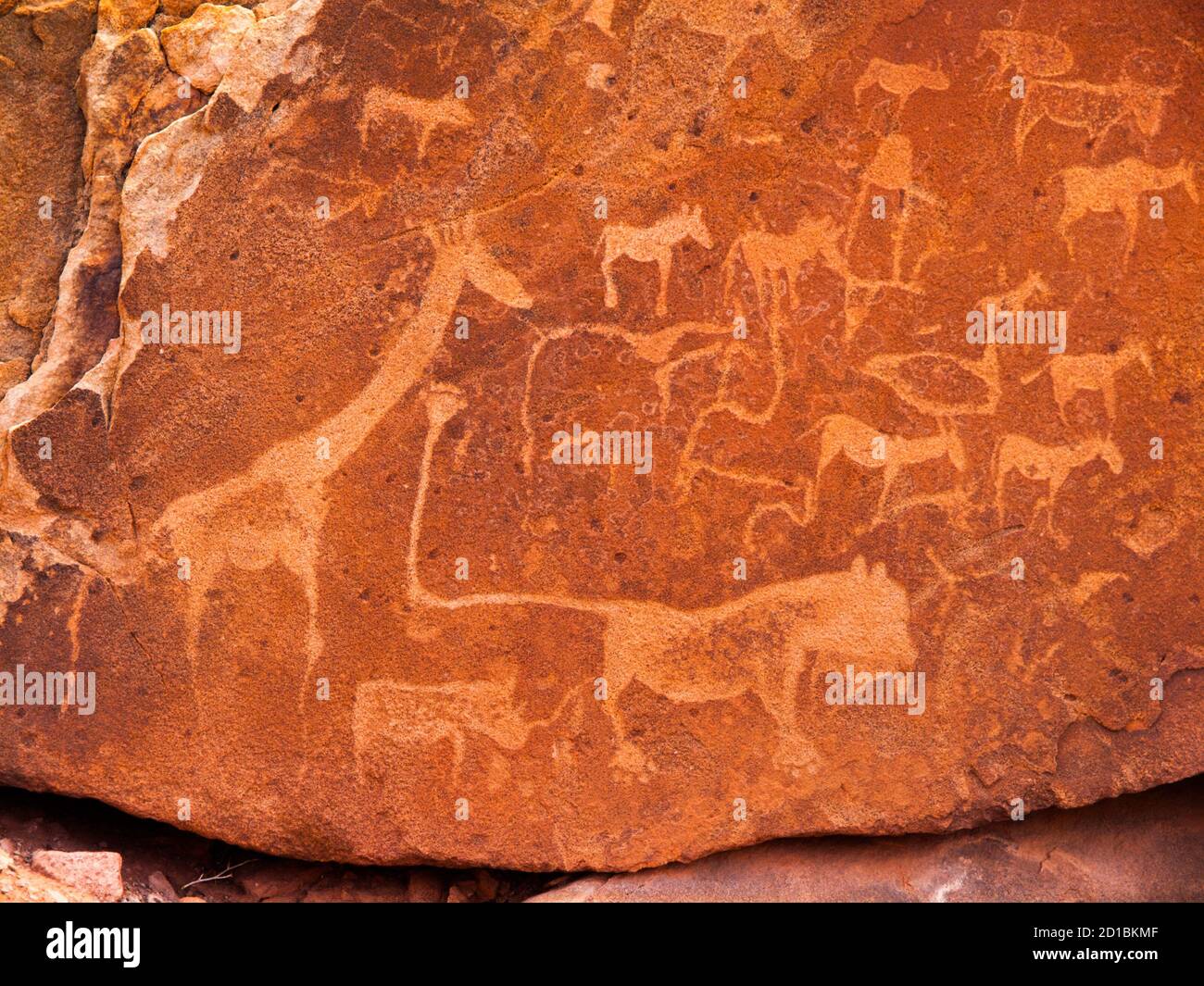 Incisioni preistoriche Boscimane - piatto leone con l'uomo leone e altri animali e simboli, Twyfelfontein, Namibia Foto Stock