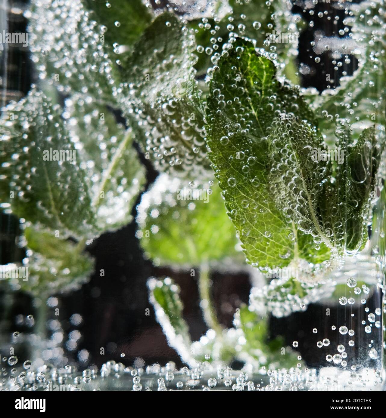 foglie di menta in un vaso di vetro con bolle d'acqua soda. bolle d'aria sulle foglie di menta e che scorrono verso l'alto. verdi aromatici freschi e ingredienti mojito. bevanda fredda estiva Foto Stock