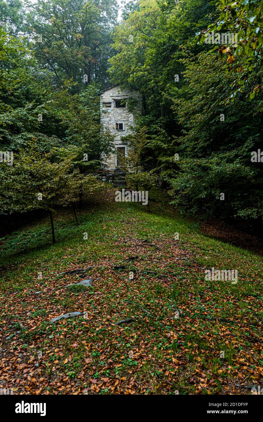 Nascosto tra gli alberi, ad un'altitudine di 950 metri si erge il Roccolo Meri, la torre degli uccelli della Scudellate. La torre è stata restaurata e può essere visitata anche in determinati momenti. Roccolo in Scudelate, Ticino, Svizzera Foto Stock