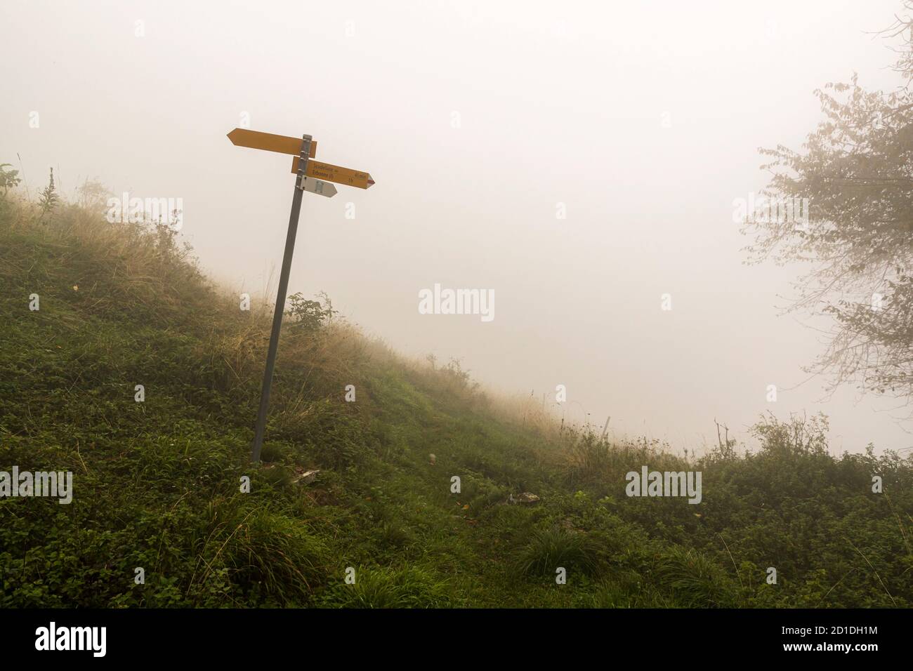 Atmosfera di nebbia sull'alp in Val Ticino Muggio, Breggia, Svizzera Foto Stock