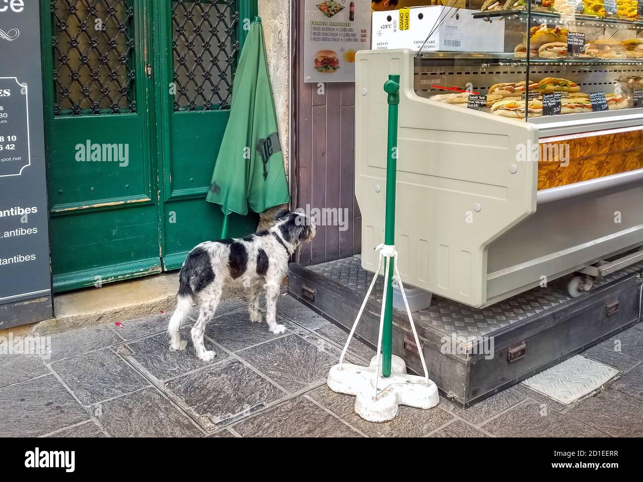 Un cane vagato attende accanto a un piccolo paninoteca nel centro storico di Antibes, Francia. Foto Stock