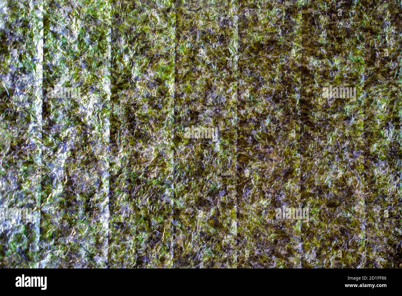 alghe di mare o fogli di nori backgroundd. cibo giapponese, chip di laminaria essiccati per sushi e panini di pesce. cibo di mare sano per la vita lunga e la salute del cuore. cucina asiatica e concetto di pasto semplice alla moda. Foto Stock