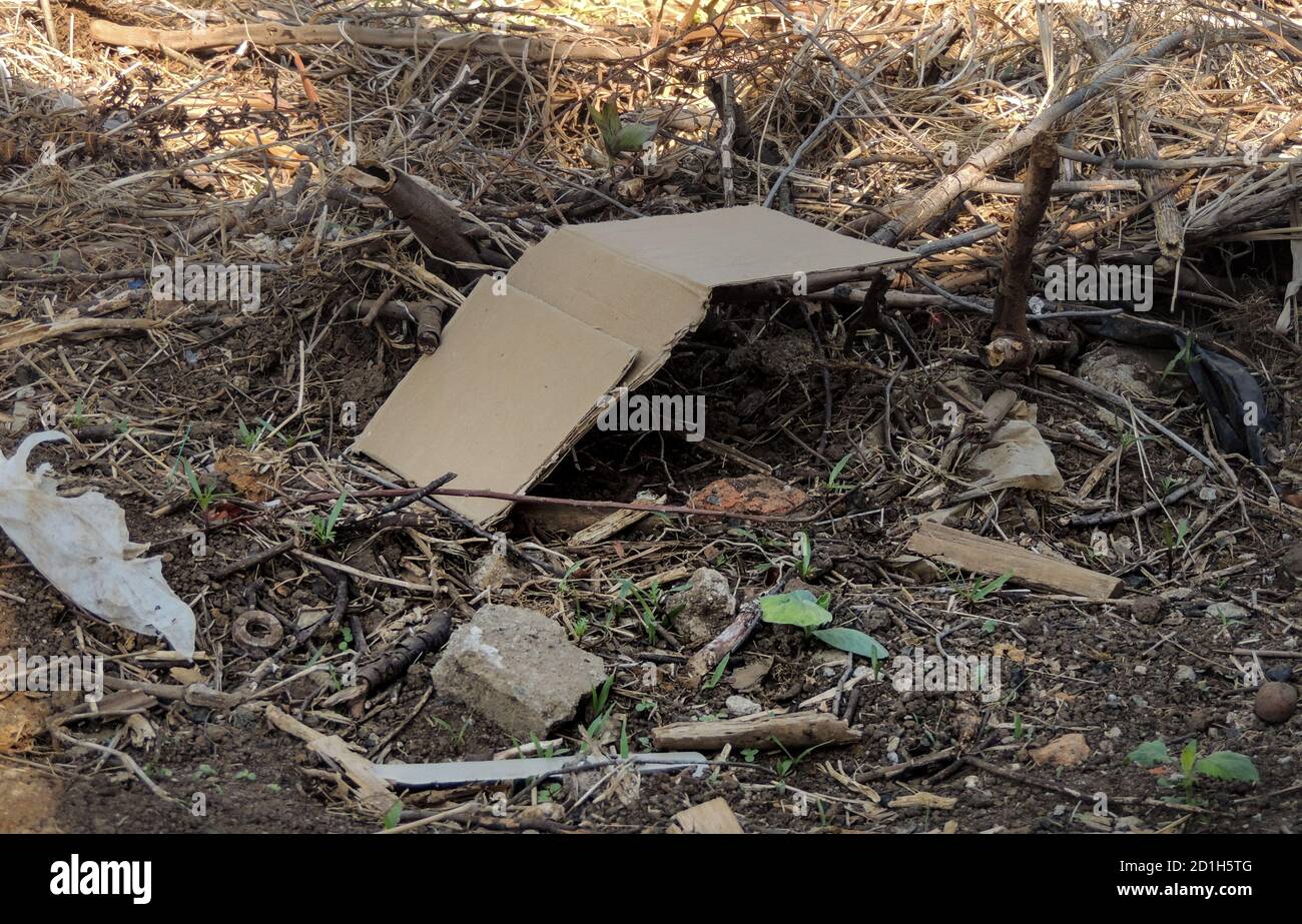 vecchi rami di albero asciutto e rifiuti spazzatura a terra - concetto di ambiente Foto Stock