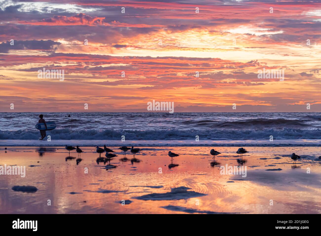 I surfisti della "pattuglia dell'alba" salutano il nuovo giorno sotto un colorato cielo all'alba a Jacksonville Beach, Florida. (STATI UNITI) Foto Stock