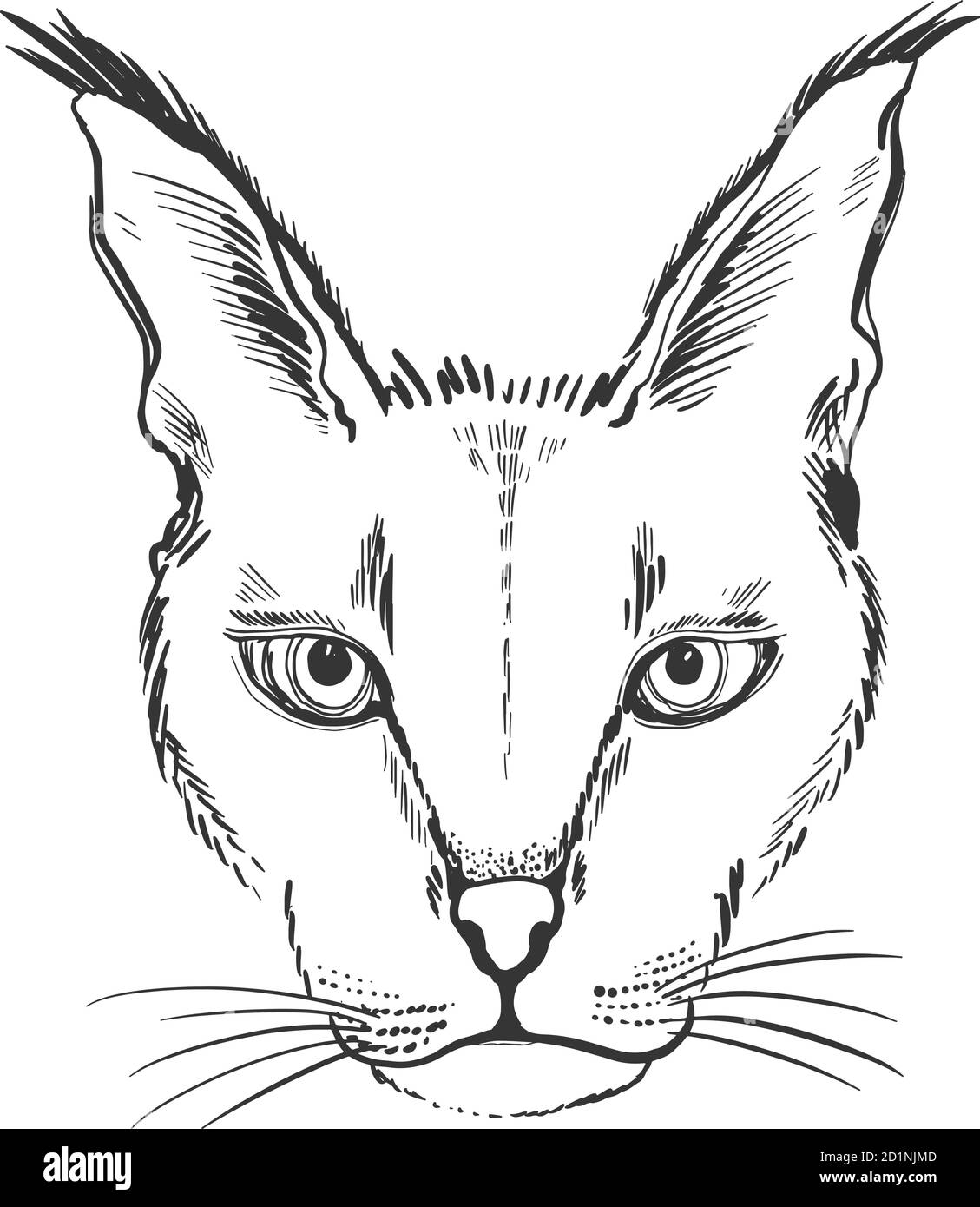 Grafica dello schizzo della testa dell'animale lynx. Colore monocromatico carino, isolato su sfondo bianco. Illustrazione Vettoriale