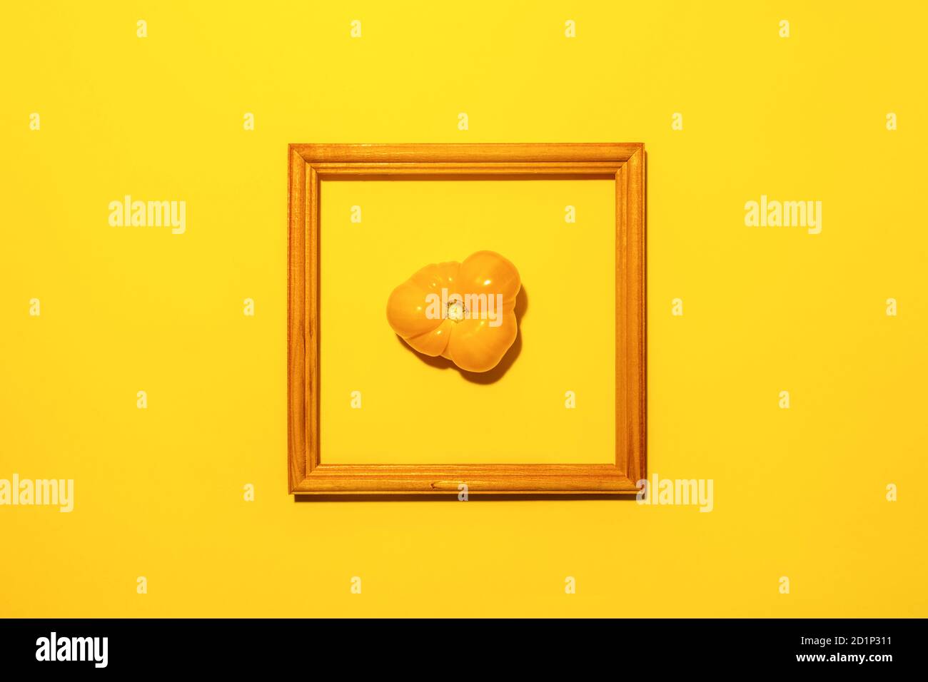 Un pomodoro giallo di fattoria al centro della cornice quadrata di legno su sfondo giallo luminoso con spazio copia. Cibo come arte Foto Stock