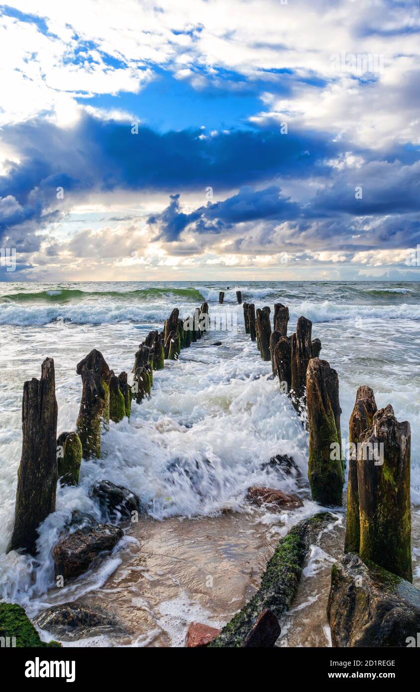 Frangiflutti di legno sulla costa del Mar Baltico, protezione per la riva contro le alte onde e l'erosione della spiaggia. Vista panoramica sul mare Foto Stock