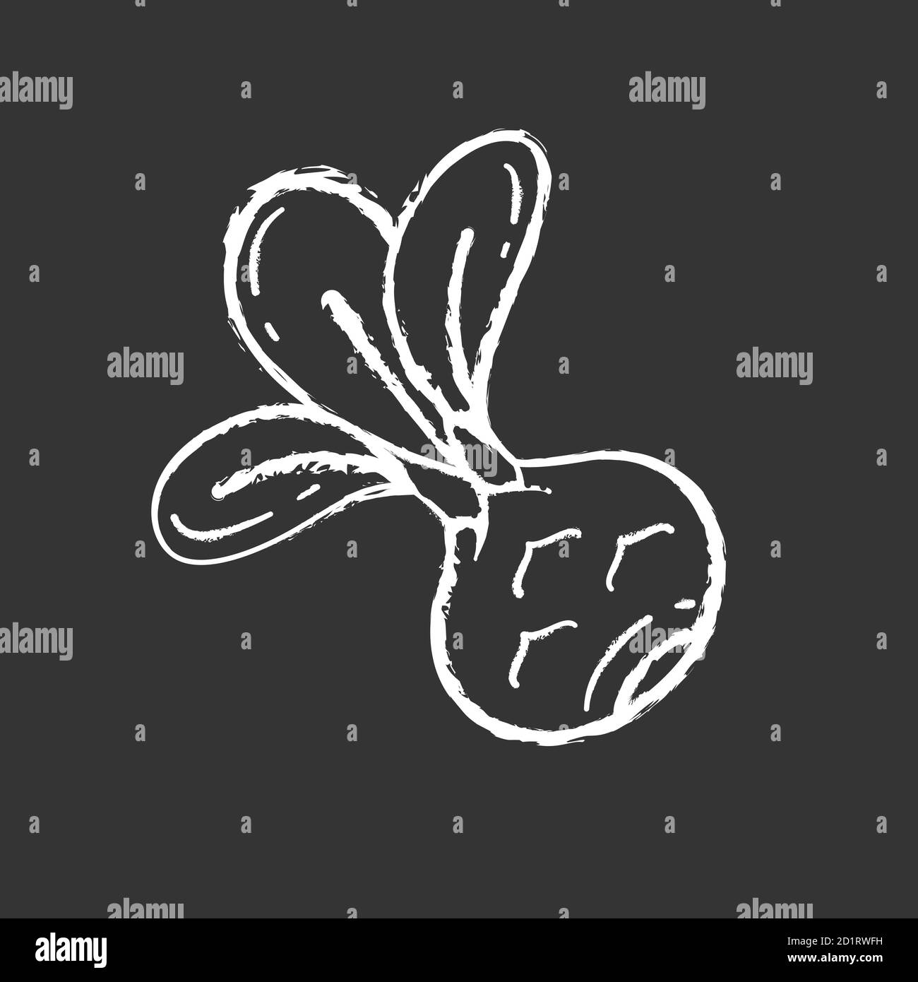 Kohlrabi gesso bianco icona su sfondo nero Illustrazione Vettoriale