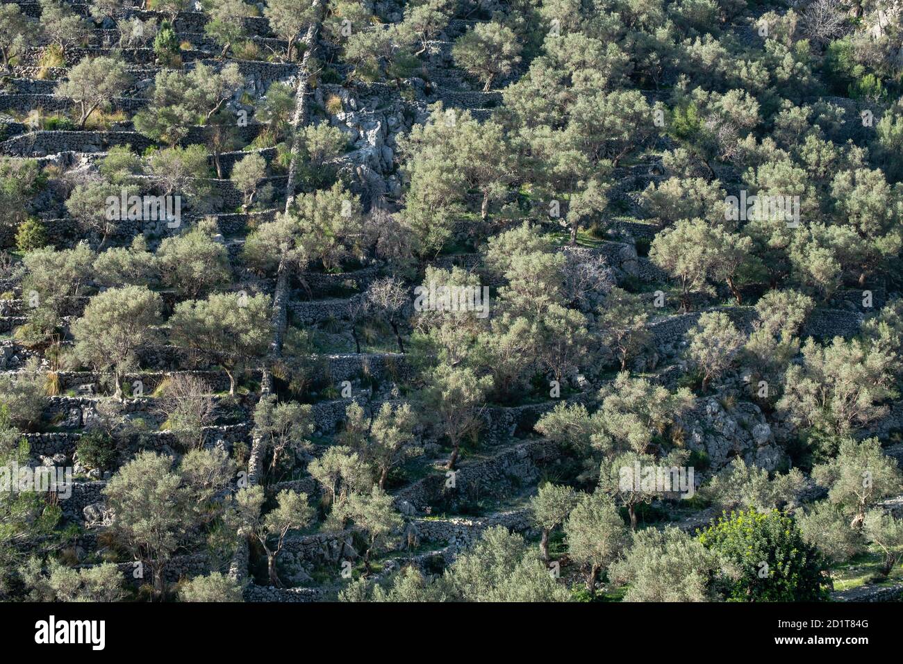 Rotes de Caimari, comune di Selva, pozzo di interesse culturale, Maiorca, Isole Baleari, Spagna Foto Stock