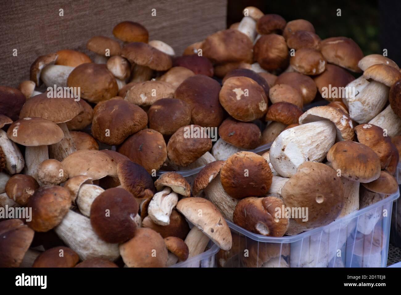 Funghi porcini boletus in vendita in piccoli cestini in un mercato alimentare di strada, vendemmia autunnale Foto Stock